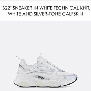 Dior sneakers